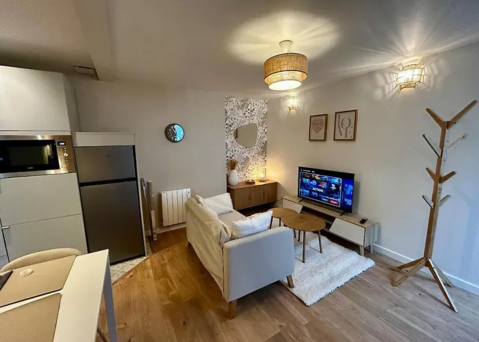 Cosy 24 - Center Appartamento Le Mans